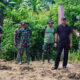 TNI