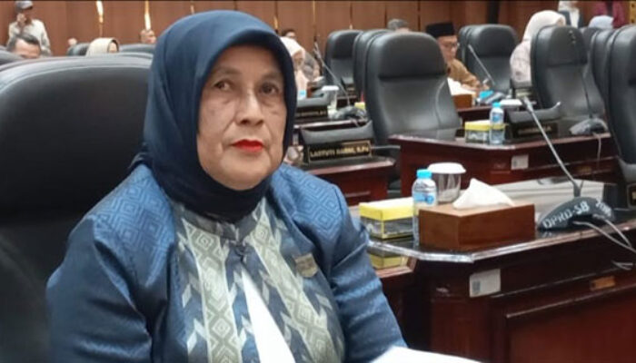Lima Bulan Pascabanjir, DPRD Sumbar Soroti Belum Ada Perbaikan Jembatan Anduriang