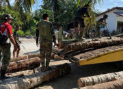 Satgas Karya Bakti TNI dan Warga Mentawai Gotong Royong Bangun Jembatan di Dusun Katiet