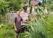 Polsek Hulu Kuantan Cek Perkembangan Tanaman Jagung Ketahanan Pangan di Desa Tanjung