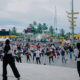 CFD Solsel