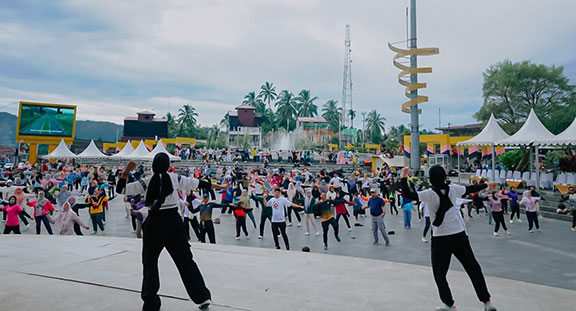 CFD Solsel