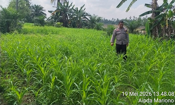 Polisi Petani