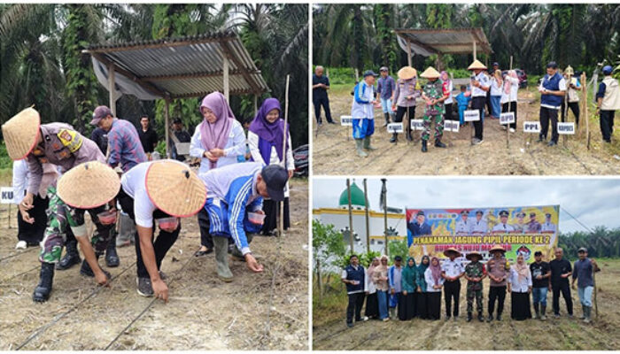 Polisi Cinta Petani, Polsek Singingi Hilir Dukung Program ASTA CITA Presiden RI, Tanam Bibit Jagung Pipil di Desa Bukit Raya