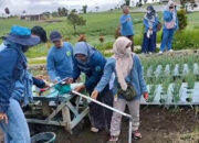 Manfaatkan Energi Matahari, Unand Hadirkan Pompa Air Tenaga Surya untuk Petani Bawang Alahan Panjang