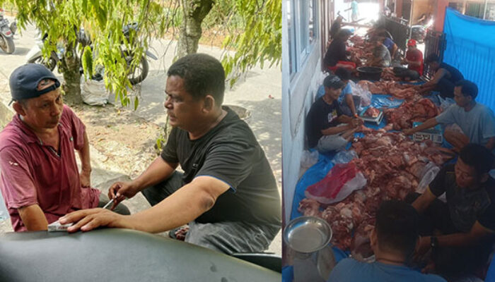 Semangat Berkurban Menggema di Rimbo Sariak, Masjid Nurul Islam Sembelih 7 Ekor Sapi dan 1 Ekor Kambing