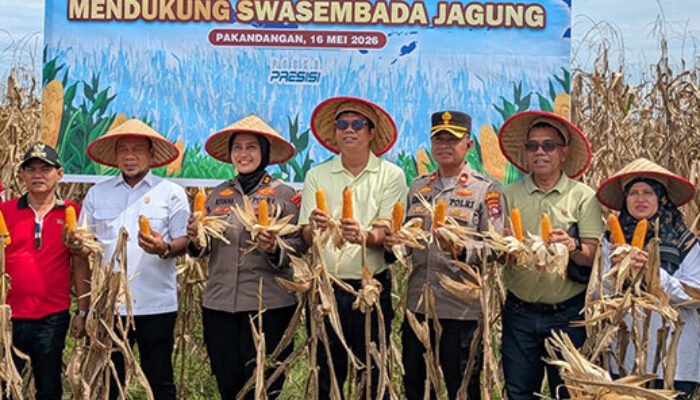Aprinaldi Hadiri Panen Raya Jagung Serentak di Pakandangan, Tegaskan Komitmen Ketahanan Pangan Padang Pariaman