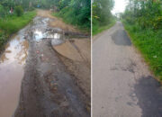 Anggaran Pemeliharaan Jalan Terus, Patching Jalan di Sungayang Tak Tepat Sasaran