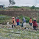 Solok