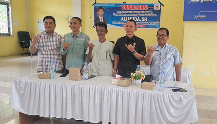 Ali Muda Gelar Sosper Tata Kelola Komoditas Unggulan Perkebunan di Kinali Pasbar