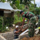 TNI