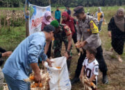 Dukung Ketahanan Pangan, Bhabinkamtibmas Desa Tanjung Pauh Bantu Kegiatan Panen Jagung Pipil