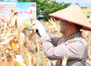 Polda Riau Terus Bergerak Dukung Swasembada Jagung, Karo SDM: Komitmen Wujudkan Ketahanan Pangan dalam Semangat Kolaborasi