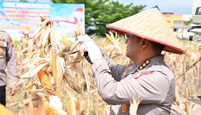 Polda Riau Terus Bergerak Dukung Swasembada Jagung, Karo SDM: Komitmen Wujudkan Ketahanan Pangan dalam Semangat Kolaborasi