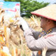 Polda Riau