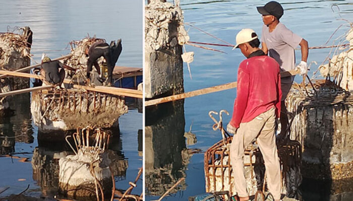 Keselamatan Kerja Hanya Slogan, Pekerja Proyek Dermaga Tuapejat Bebas Bekerja Tanpa APD, Pengawasan Dipertanyakan