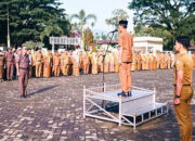 Wabup Yulian Efi: Masuknya TKD Jadi Momentum Percepatan Realisasi Program Daerah