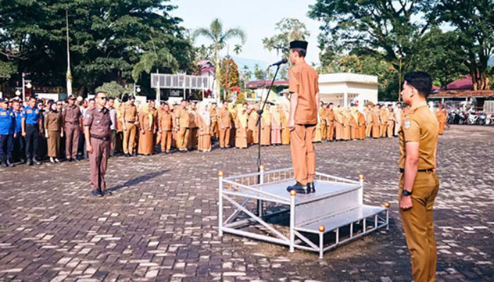 Wabup Yulian Efi: Masuknya TKD Jadi Momentum Percepatan Realisasi Program Daerah