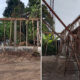 CV Balango