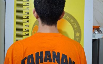 TIM Elang