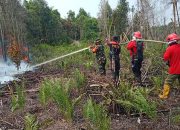 Kodam XIX Tuanku Tambusai Jaga Bengkalis dari Karhutla, Petugas Berjibaku di Medan Gambut