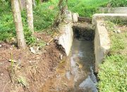 Proyek Serampangan Oleh PPL Pada Distan TA. 2025, Sumber Dana Kementan RI Diduga Dikerjakan “Asal Jadi”   ‎