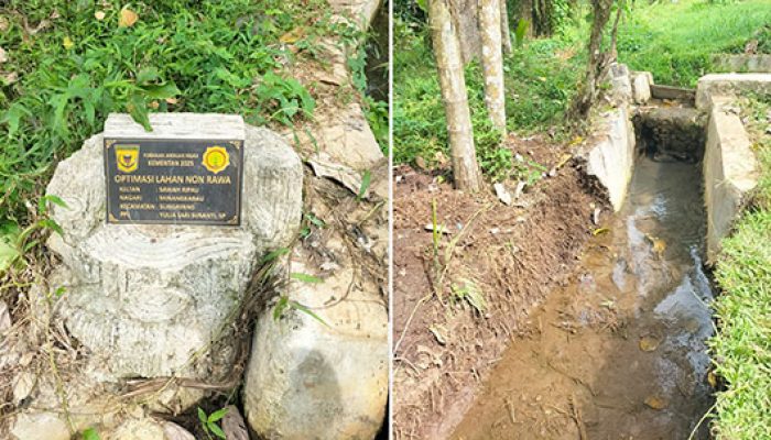 Terungkap, Pekerjaan Keltan Pada Jaringan Irigasi Pertanian Ternyata D.I Sekunder Yang Jadi Kewenangan Bid. PSDA
