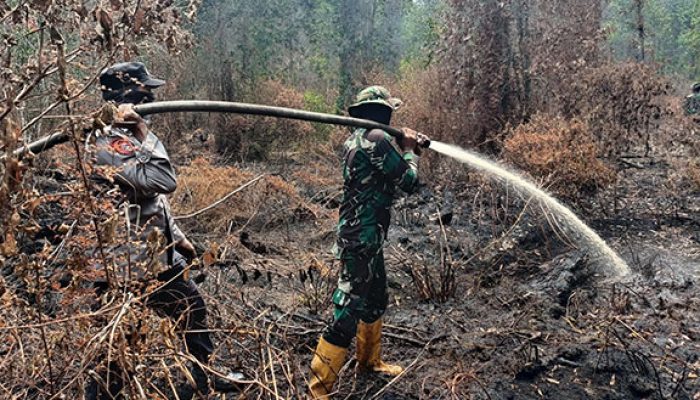 Kodam XIX/Tuanku Tambusai Bersama Tim Gabungan Sisir Titik Asap Karhutla di Pelalawan