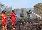 Kodam XIX/Tuanku Tambusai Intensifkan Penanganan Karhutla di Dua Lokasi Indragiri Hulu