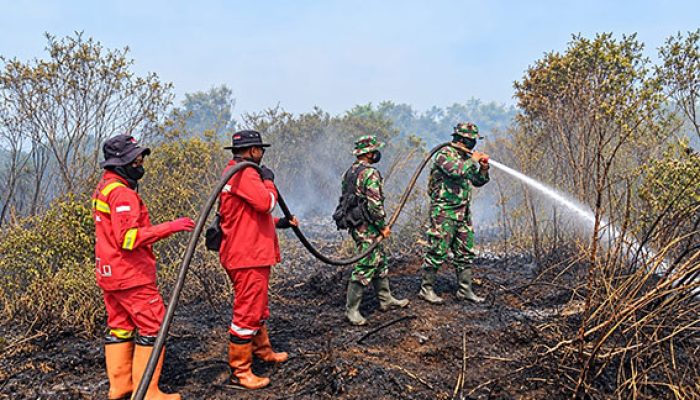 Kodam XIX/Tuanku Tambusai Intensifkan Penanganan Karhutla di Dua Lokasi Indragiri Hulu