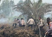 Bertambah, Polda Riau Kini Tangani 45 Kasus Karhutla, 49 Orang Jadi Tersangka