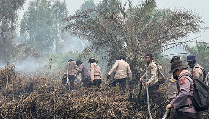 Bertambah, Polda Riau Kini Tangani 45 Kasus Karhutla, 49 Orang Jadi Tersangka