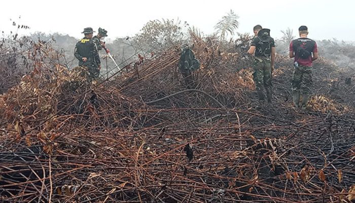 Kodam XIX/Tuanku Tambusai Perkuat Penanganan Karhutla di Seberida, Pendinginan Terus Berlanjut