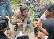 Satresnarkoba Polres Kepulauan Mentawai Ungkap Dugaan Penyalahgunaan Sabu, Satu Orang Diamankan