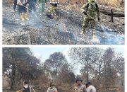 Riau Zero Karhutla, Satgas Tetap Siaga Cegah Api Kembali Muncul