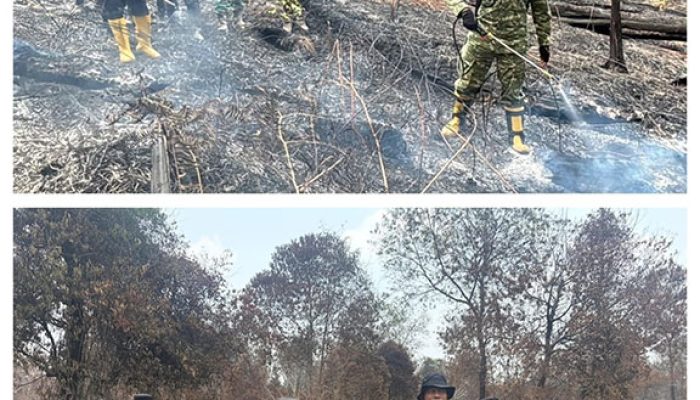 Riau Zero Karhutla, Satgas Tetap Siaga Cegah Api Kembali Muncul