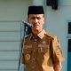 Koperasi Indonesia, Jadi Sokoguru Hingga Kuasai Teknologi