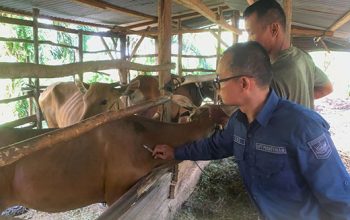 Hadirkan Vet GAS, Layanan Kesehatan Hewan Keliling di Solsel