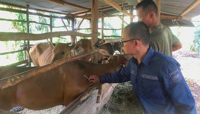 Hadirkan Vet GAS, Layanan Kesehatan Hewan Keliling di Solsel