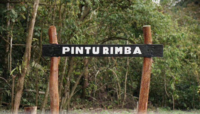 Lima Hari Mendaki Dipatahkan, Naik Kerinci via Solok Selatan Tuntas 30 Jam