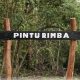 Lima Hari Mendaki Dipatahkan, Naik Kerinci via Solok Selatan Tuntas 30 Jam