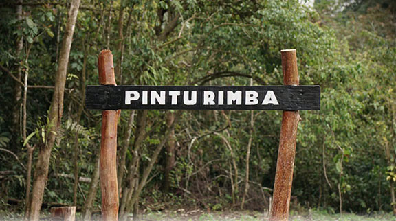 Kerinci