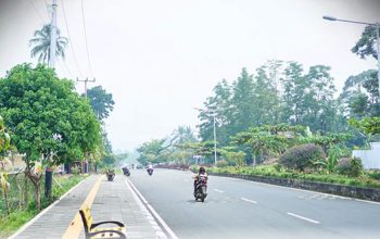 Terdampak Kabut Asap Kiriman, Pemkab Solsel Imbau Warga Tingkatkan Kesiapsiagaan
