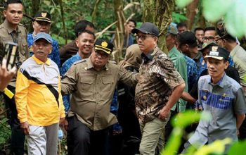 Hiking Tipis-Tipis ke Danau Bukit Bontak Solsel