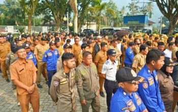 Pemkab Solsel Kaji Kenaikan Gaji P3K
