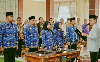 Bupati