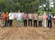 Dukung Ketahanan Pangan, Polsek Kuantan Mudik Tanam Jagung di Desa Petapahan