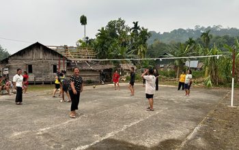 TNI