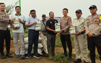 Kapolres Kuansing Hadiri Panen Raya Jagung Pipil Kuartal III di Desa Sungai Buluh