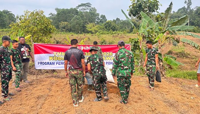 Satgas TMMD ke-130 Kodim 0319/Mentawai Tanam 50 Bibit Jeruk di Lahan SP1 Desa Sipora Jaya